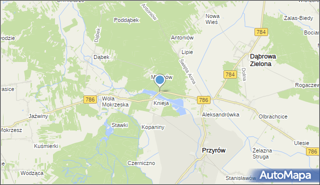 mapa Leśniczówka Knieja, Leśniczówka Knieja gmina Dąbrowa Zielona na mapie Targeo